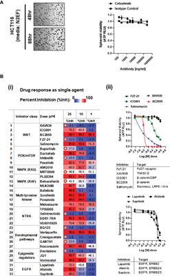 Identification of Synergistic Drug Combinations to Target KRAS-Driven Chemoradioresistant Cancers Utilizing Tumoroid Models of Colorectal Adenocarcinoma and Recurrent Glioblastoma